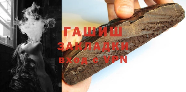 хмурый Аркадак