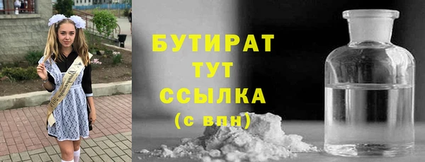 хмурый Аркадак