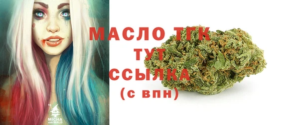 хмурый Аркадак