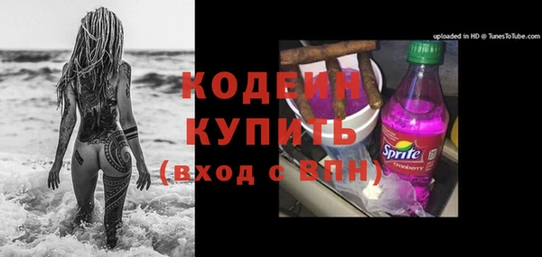 хмурый Аркадак