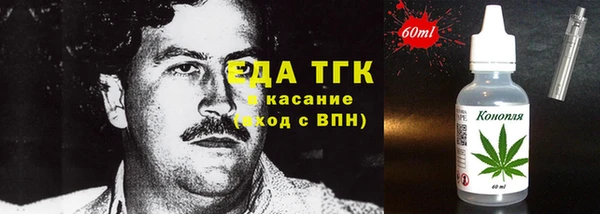 хмурый Аркадак