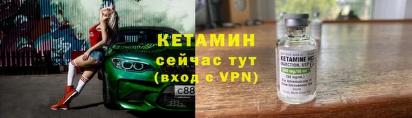 хмурый Аркадак