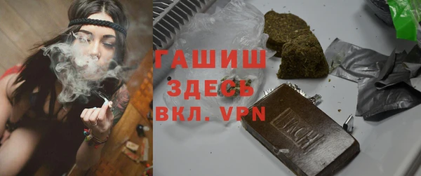 хмурый Аркадак