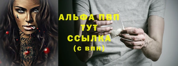 spice Арсеньев