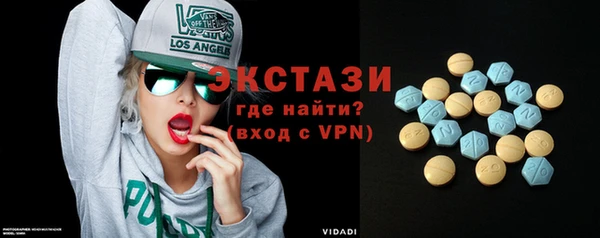хмурый Аркадак
