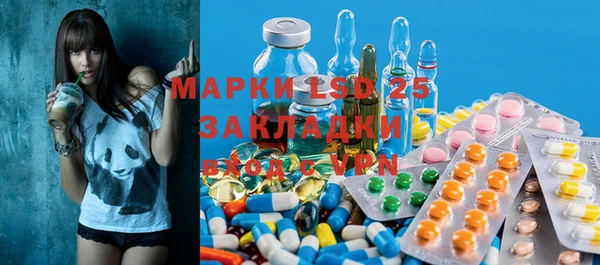 хмурый Аркадак