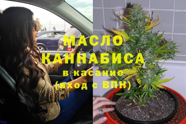 хмурый Аркадак